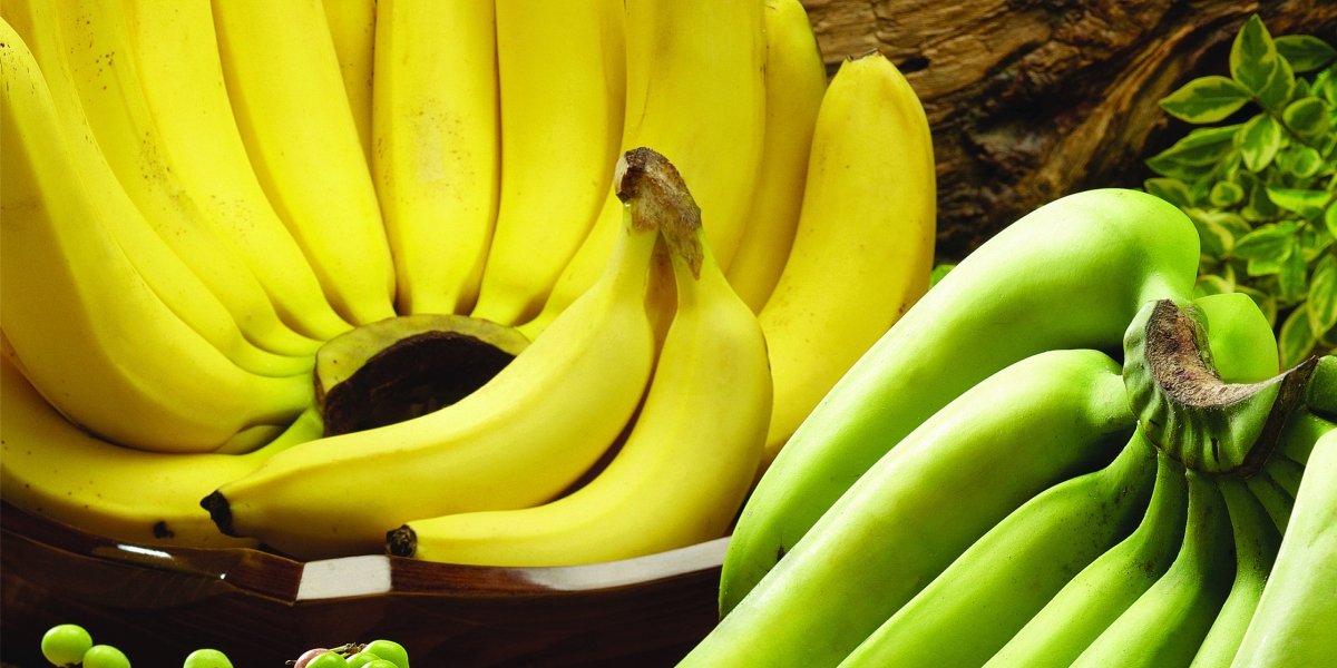 أنظمة إنضاج الموز